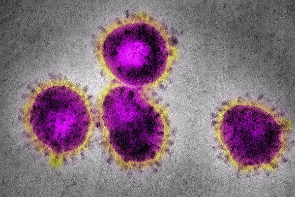 midyear - coronavirus.jpg 