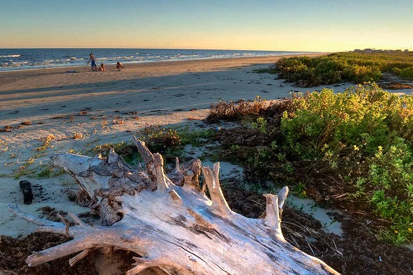 galveston island state park