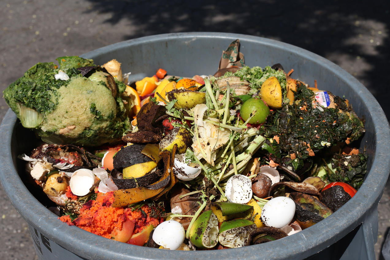 food waste