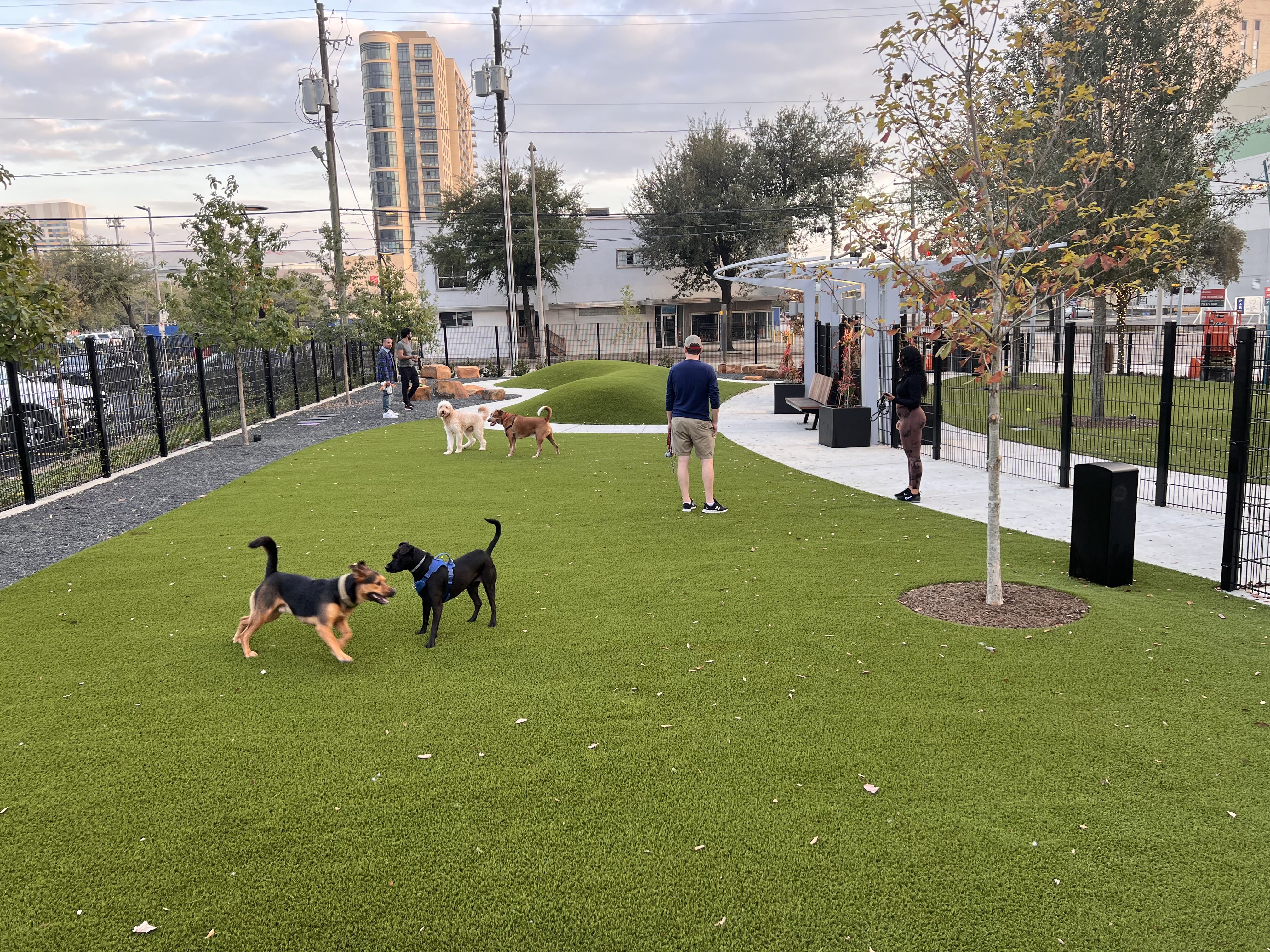 Picture of Trebly Park's dog run